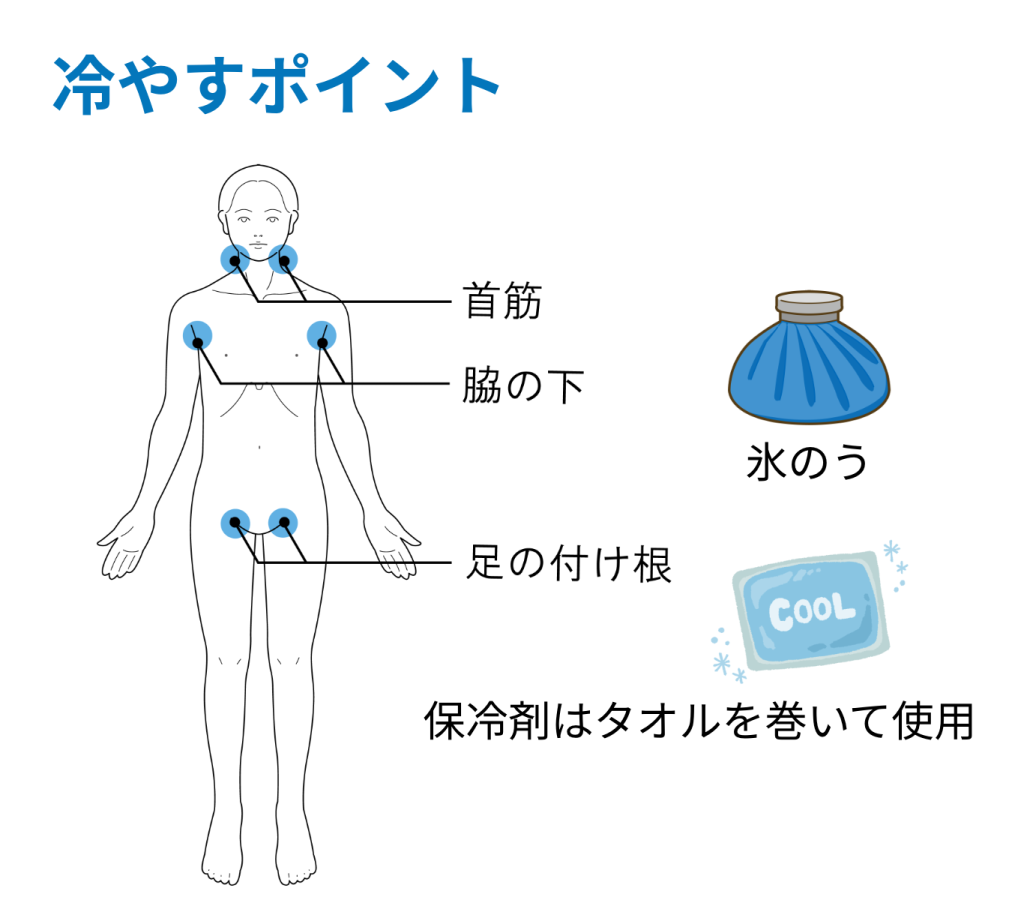 熱中症対策　冷やす部位